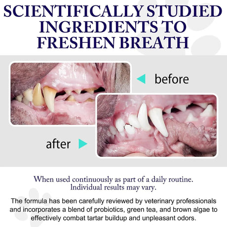 KZUO - Kzuo Dog Teeth Cleaning Powder 100Gr. 2 Pack - The Red Vitamin MX - Cuidado Dental Para Perros - {{ shop.shopifyCountryName }}