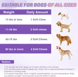 TTLXRL - TTLXRL Dog Allergy Chews 200 Masticables - The Red Vitamin MX - Remedios Para La Picazón De Perros - {{ shop.shopifyCountryName }}