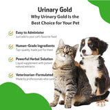 PET WELLBEING - Pet Wellbeing Urinary Gold for Dogs 4 Fl.Oz. - The Red Vitamin MX - Salud De Tracto Urinario Para Perros - {{ shop.shopifyCountryName }}
