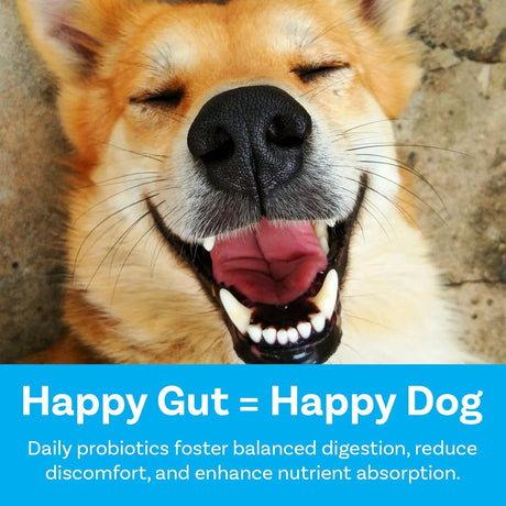 PAWSAFE - PawSafe Dog Probiotics Honey Chicken Flavor 120 Masticables - The Red Vitamin MX - Probióticos Para Perros - {{ shop.shopifyCountryName }}