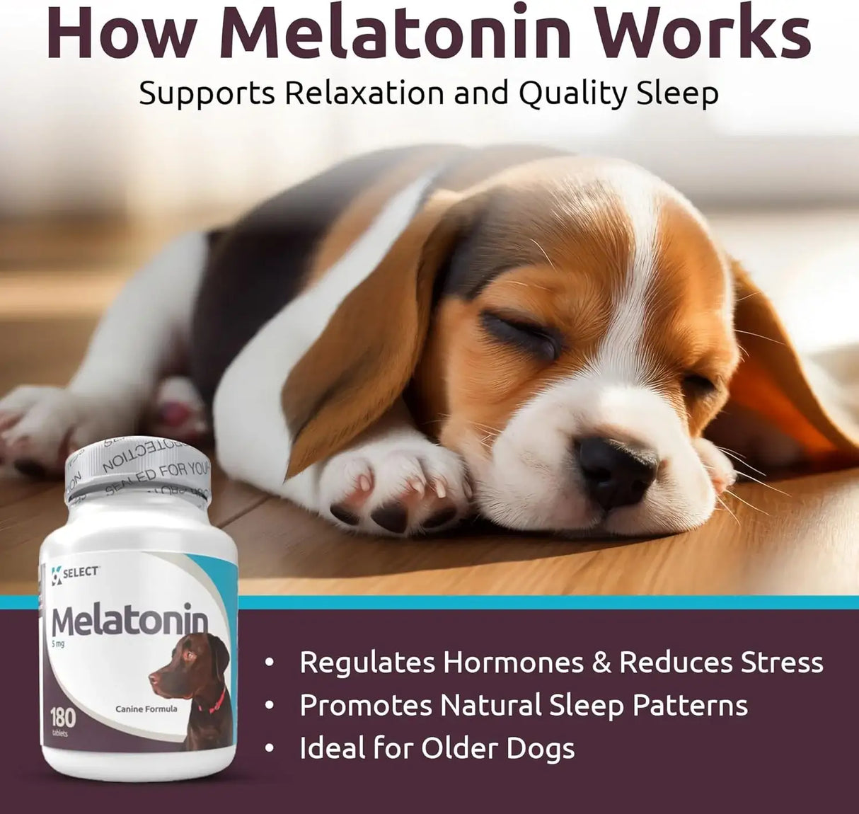 K9 SELECT - K9 Select Melatonin for Large Dogs Unflavored 5Mg. 180 Capsulas - The Red Vitamin MX - Relajantes Para Perros - {{ shop.shopifyCountryName }}