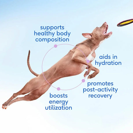 NATIVE PET - Native Pet Goat Milk for Dogs Organic Goat Milk Powder for Dogs and Cats 120 Servicios 397Gr. - The Red Vitamin MX - Sustitutos De Leche Para Perros - {{ shop.shopifyCountryName }}