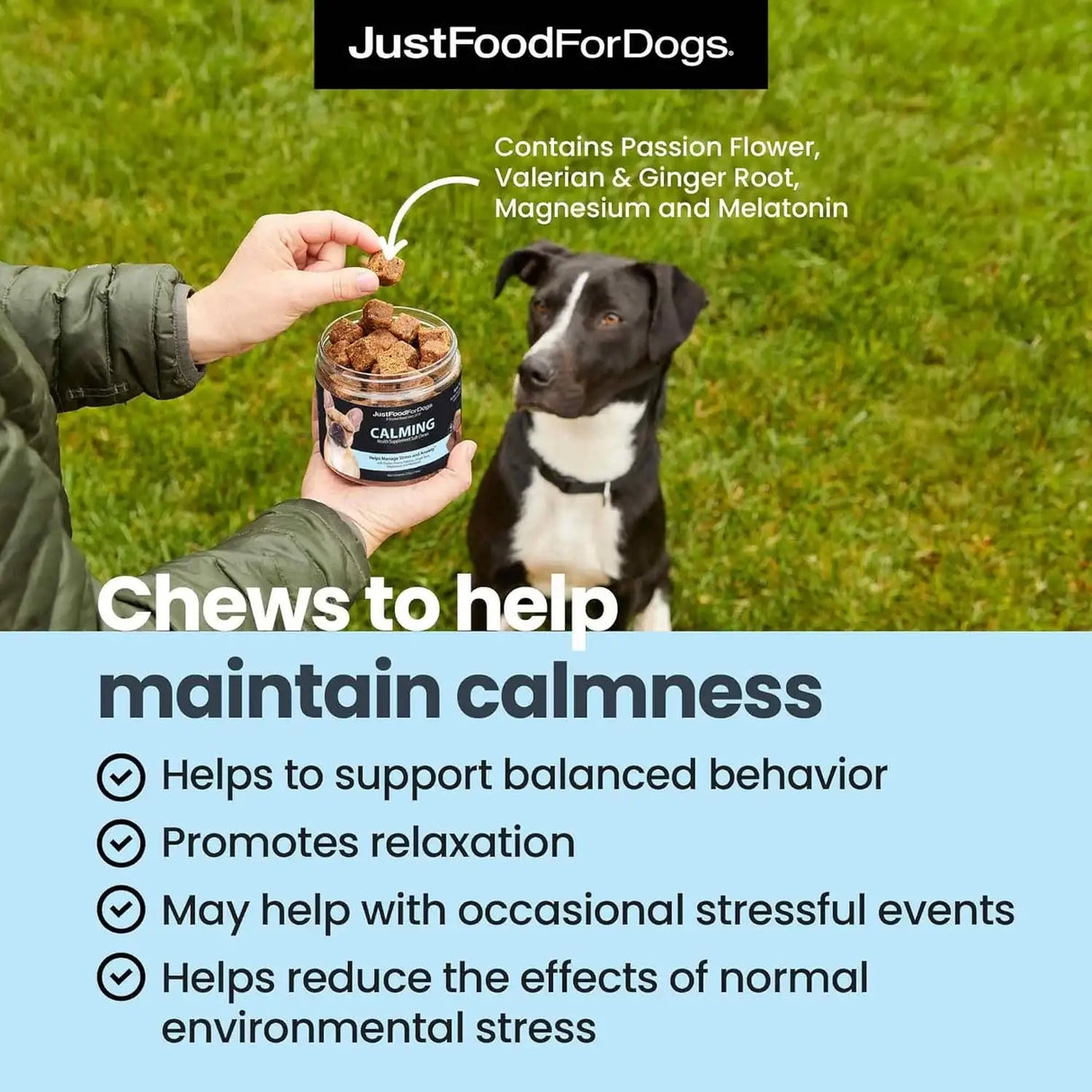 JUSTFOODFORDOGS - JustFoodForDogs Calming Supplement for Dogs Soft Chew 45 Masticables - The Red Vitamin MX - Relajantes Para Perros - {{ shop.shopifyCountryName }}