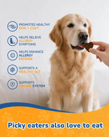 COZYFUN - Cozyfun Dog Allergy Chews 260 Masticables - The Red Vitamin MX - Remedios Para La Picazón De Perros - {{ shop.shopifyCountryName }}