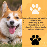 VENNEX - VENNEX Hip and Joint Supplement for Dogs 120 Masticables - The Red Vitamin MX - Cuidado De Cadera Y Articulaciones Para Perros - {{ shop.shopifyCountryName }}