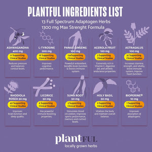 PLANTFUL RESEARCH - PLANTFUL RESEARCH Adrenal Support & Cortisol Manager 60 Capsulas - The Red Vitamin MX - Suplementos Alimenticios - {{ shop.shopifyCountryName }}