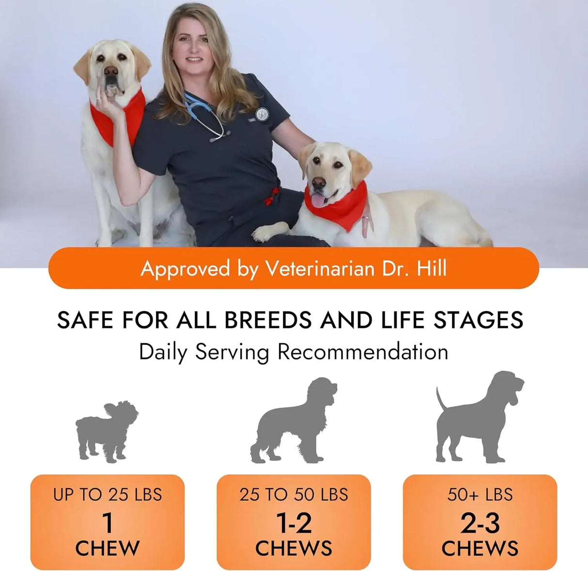 PET VET - Pet Vet Glucosamine Hip & Joint Supplement for Dogs 60 Masticables - The Red Vitamin MX - Cuidado De Cadera Y Articulaciones Para Perros - {{ shop.shopifyCountryName }}