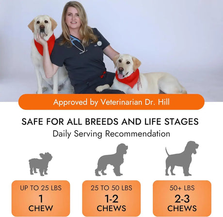 PET VET - Pet Vet Glucosamine Hip & Joint Supplement for Dogs 60 Masticables - The Red Vitamin MX - Cuidado De Cadera Y Articulaciones Para Perros - {{ shop.shopifyCountryName }}