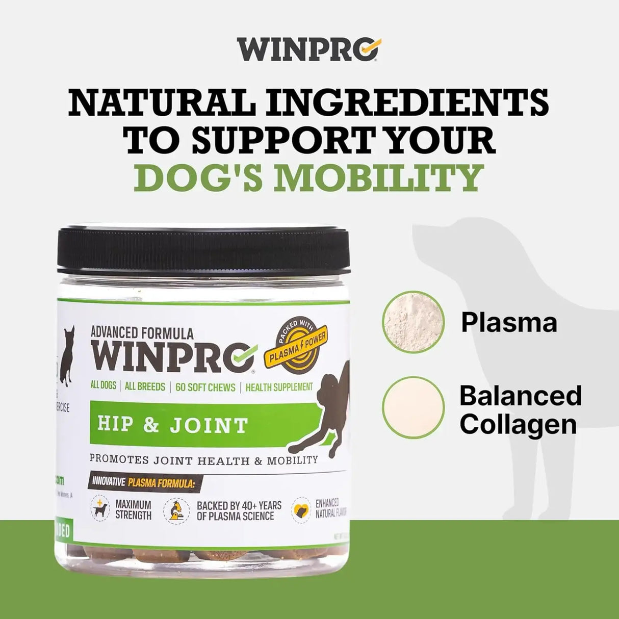 WINPRO - WINPRO Hip & Joint Supplement for Dogs 60 Masticables - The Red Vitamin MX - Cuidado De Cadera Y Articulaciones Para Perros - {{ shop.shopifyCountryName }}