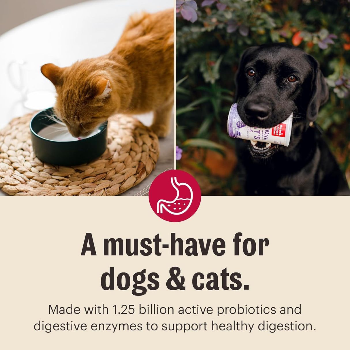 The Honest Kitchen Human Grade Instant Goat's Milk with Probiotics for Dogs and Cats 147Gr.