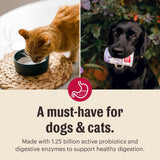 The Honest Kitchen Human Grade Instant Goat's Milk with Probiotics for Dogs and Cats 147Gr.