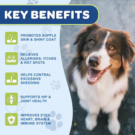 NATURE TARGET - NATURE TARGET Omega 3 Fish Oil for Dogs 120 Masticables - The Red Vitamin MX - Aceite De Pescado Para Perros - {{ shop.shopifyCountryName }}