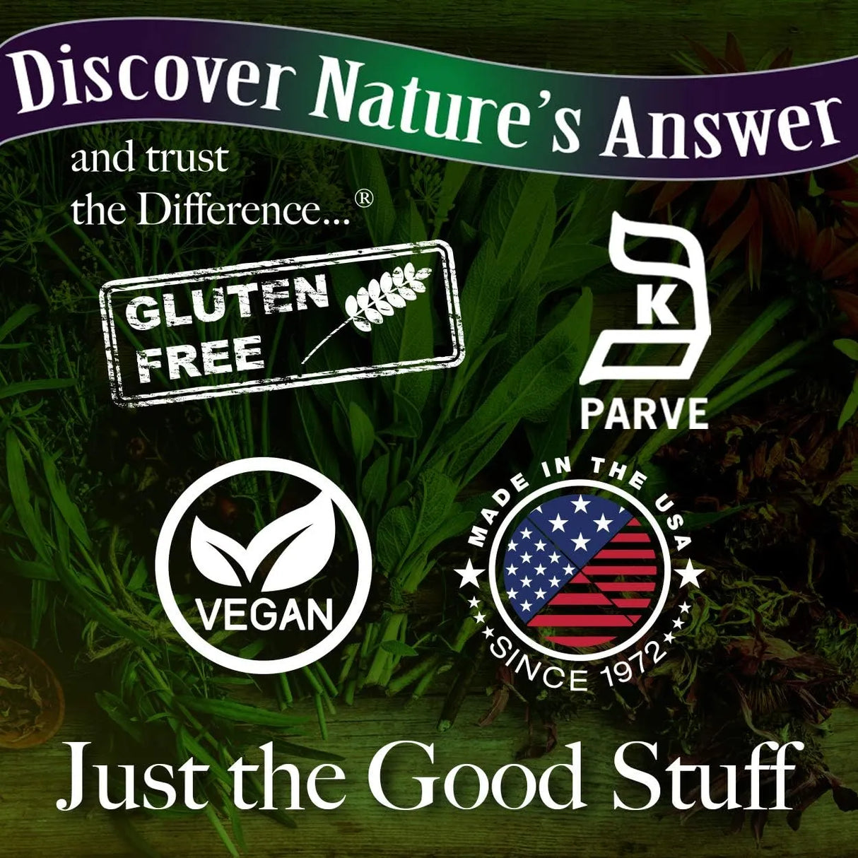 NATURE´S ANSWER - Nature's Answer Dong Quai Root 1000Mg. 90 Capsulas - The Red Vitamin MX - Suplementos Alimenticios - {{ shop.shopifyCountryName }}