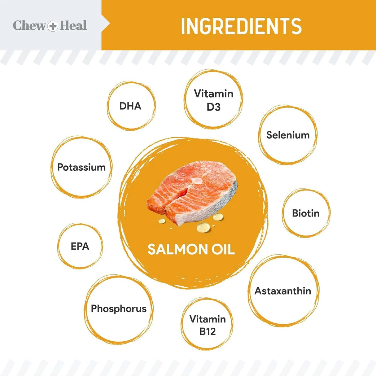 CHEW + HEAL - Chew + Heal Labs Salmon Oil for Dogs 8 Fl.Oz. - The Red Vitamin MX - Aceite De Pescado Para Perros - {{ shop.shopifyCountryName }}