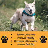 VENNEX - VENNEX Hip and Joint Supplement for Dogs 120 Masticables - The Red Vitamin MX - Cuidado De Cadera Y Articulaciones Para Perros - {{ shop.shopifyCountryName }}