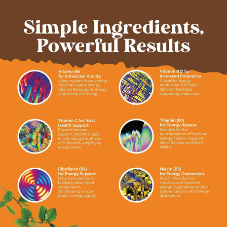 NATURES CRAFT - Natures Craft Vegan Vitamin B Complex Liquid 120Ml. - The Red Vitamin MX - Suplementos Alimenticios - {{ shop.shopifyCountryName }}