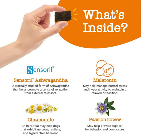 ZESTY PAWS - Zesty Paws Calming Squares Flavored Soft Chews 283Gr. - The Red Vitamin MX - Relajantes Para Perros - {{ shop.shopifyCountryName }}