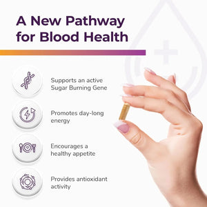 BRIGHT NATURALS - Glucobalance Pro Ceylon Cinnamon Blood Balance 60 Capsulas - The Red Vitamin MX - Suplementos Alimenticios - {{ shop.shopifyCountryName }}