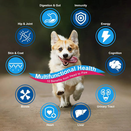 NATURE TARGET - NATURE TARGET Dog Vitamins Powder 90 Servicios 360Gr. - The Red Vitamin MX - Multivitamínicos Para Perros - {{ shop.shopifyCountryName }}