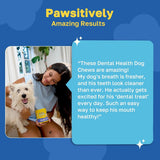 HAPPY PAWS - Happy Paws Dental Chews for Dogs Spearmint Flavor 100 Masticables 2 Pack - The Red Vitamin MX - Cuidado Dental Para Perros - {{ shop.shopifyCountryName }}