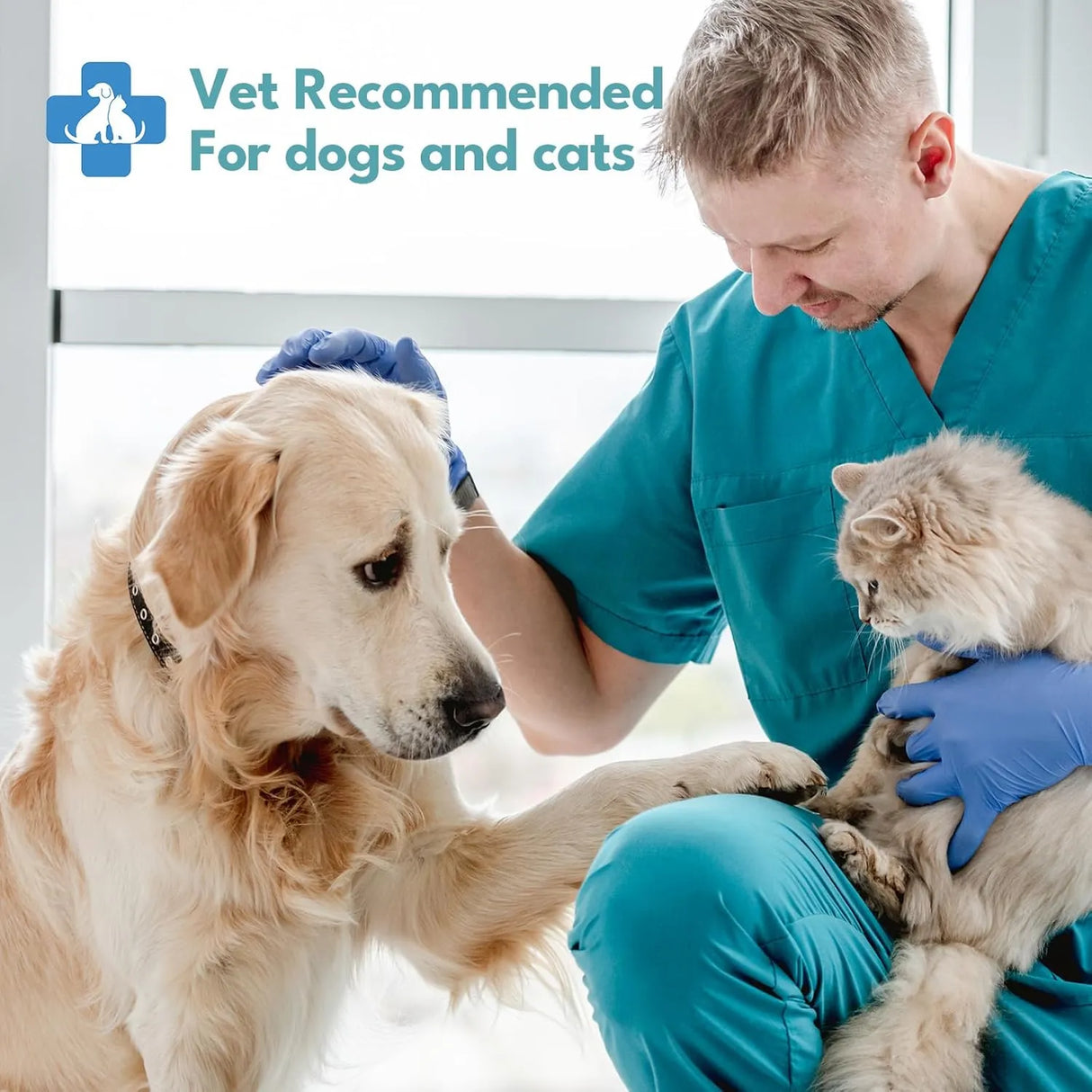 NO PAWBLEMS - No Pawblems Natural Ear Wipes Finger for Dogs & Cats Coconut Scent 50 Toallitas - The Red Vitamin MX - Cuidado Del Oído De Perros - {{ shop.shopifyCountryName }}