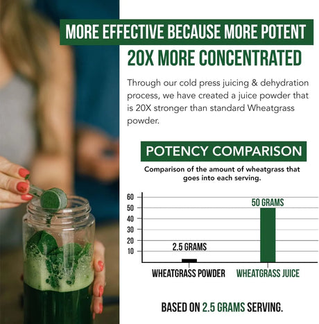 TRIQUETRA - Triquetra Health Organic Wheatgrass Juice Powder Lemon 60 Servicios 175Gr. - The Red Vitamin MX - Suplementos Alimenticios - {{ shop.shopifyCountryName }}