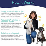 HAPPY SCRATCH - Happy Scratch Dog Allergy Relief for Itching and Licking 30 Paquetes - The Red Vitamin MX - Remedios Para La Picazón De Perros - {{ shop.shopifyCountryName }}