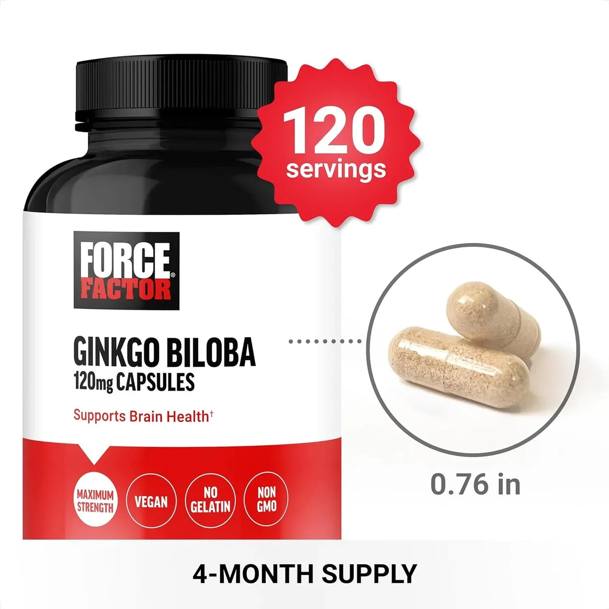 FORCE FACTOR - FORCE FACTOR Ginkgo Biloba 120Mg. 120 Capsulas - The Red Vitamin MX - Suplementos Alimenticios - {{ shop.shopifyCountryName }}