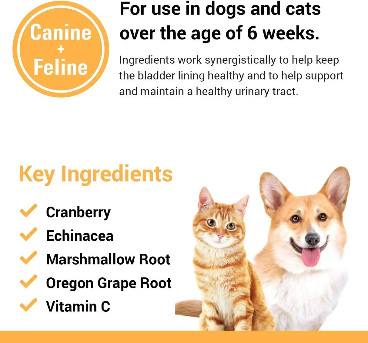 VET CLASSICS - Vet Classics Cranberry Comfort Urinary Tract Pet Supplement for Dogs 65 Masticables - The Red Vitamin MX - Salud De Tracto Urinario Para Perros - {{ shop.shopifyCountryName }}