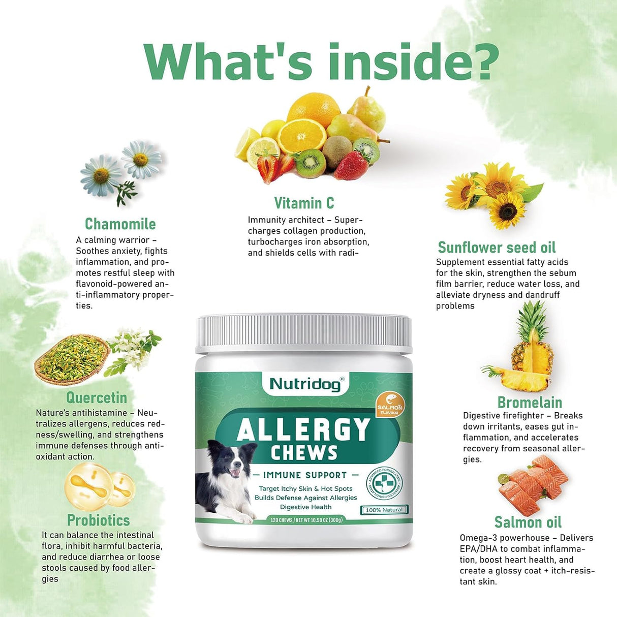 Nutridog Allergy Chews for Dogs 120 Masticables