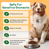 TRUECANINE - TrueCanine Wild Belly Dog Gut Health Probiotics 30 Servicios 60Gr. 3 Pack - The Red Vitamin MX - Probióticos Para Perros - {{ shop.shopifyCountryName }}