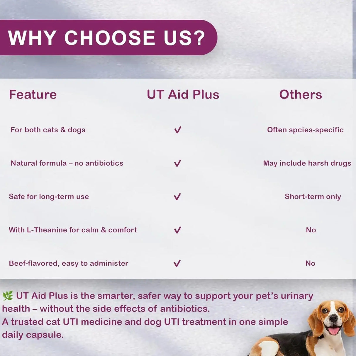 NUTRIARISE - NUTRIARISE UT Aid Plus Cat & Dog UTI Treatment 30 Capsulas - The Red Vitamin MX - Salud De Tracto Urinario Para Perros - {{ shop.shopifyCountryName }}