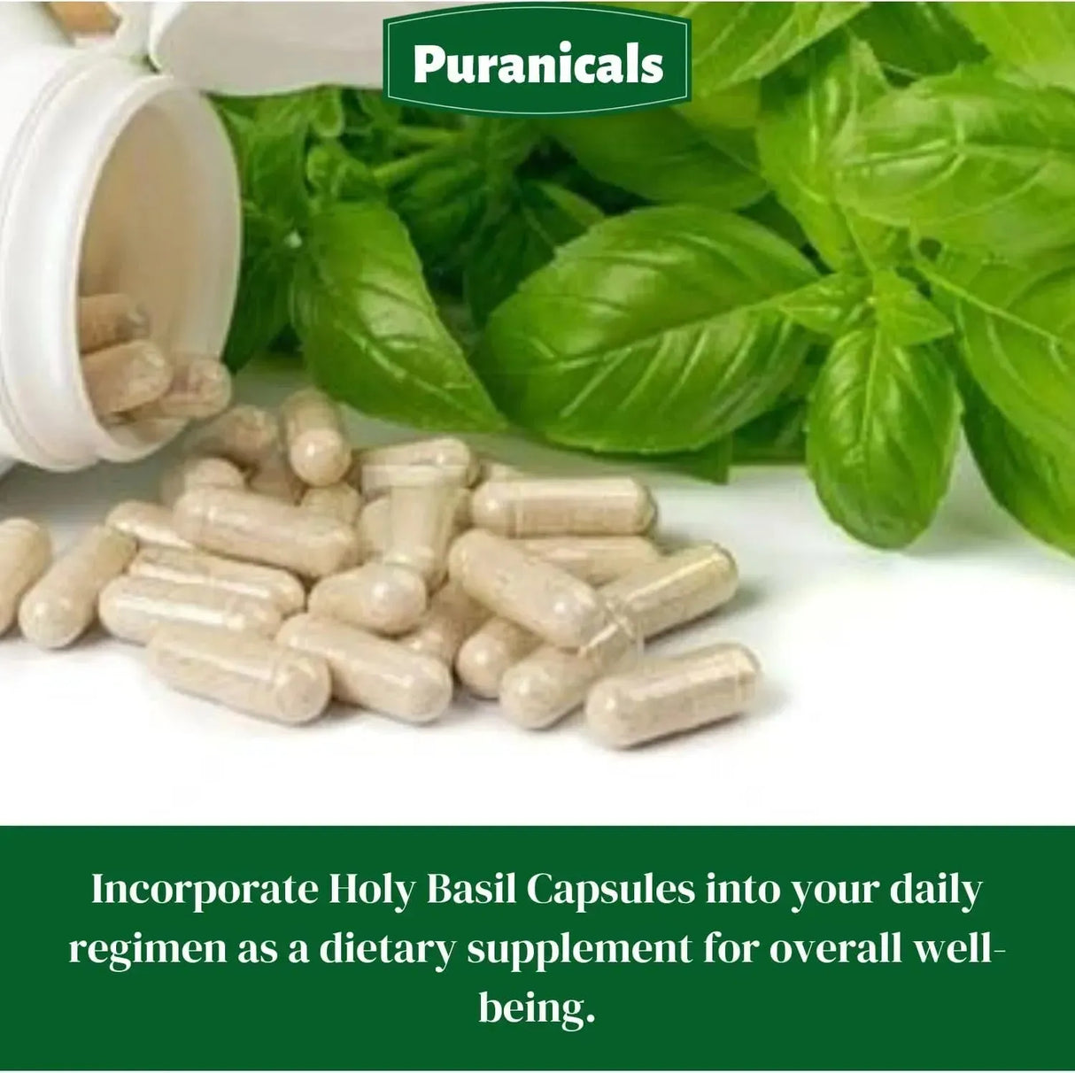 PURANICALS - Puranicals Holy Basil 320 Capsulas - The Red Vitamin MX - Suplementos Alimenticios - {{ shop.shopifyCountryName }}