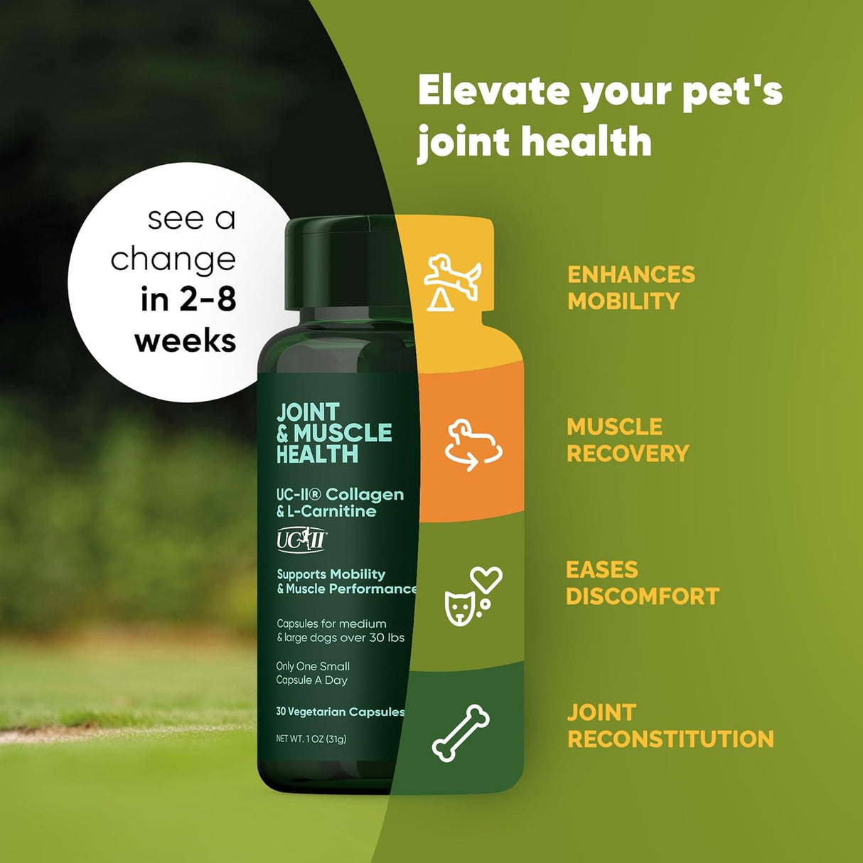 Rooted Owl Joint and Muscle Health Hip and Joint Supplement for Dogs 30 Capsulas
