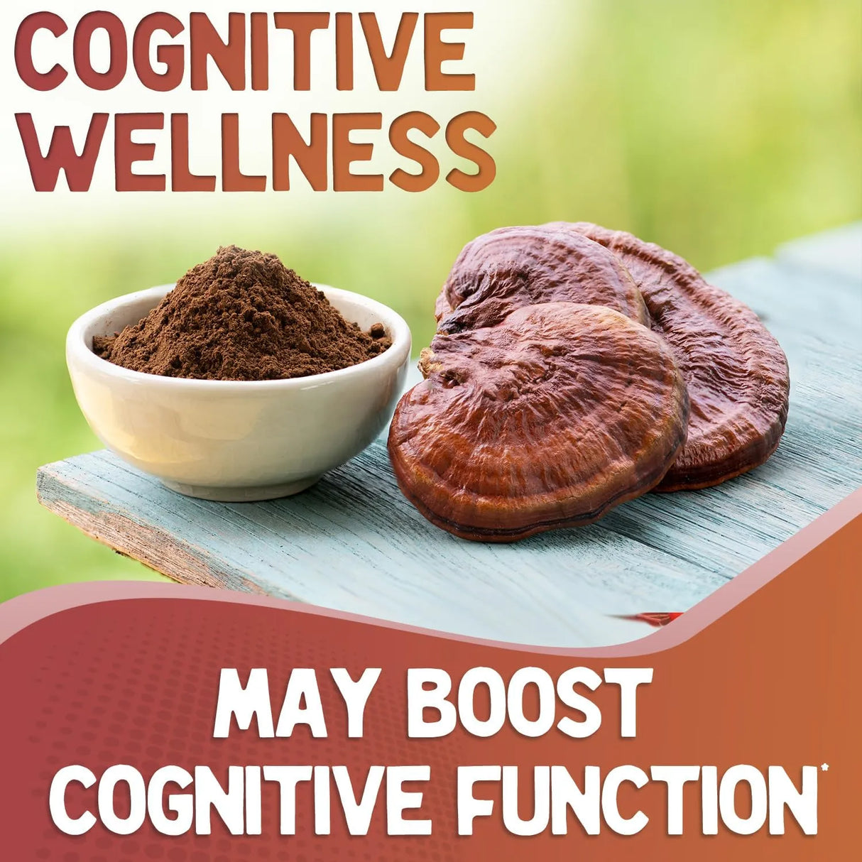 XPRS NUTRA - XPRS Nutra Organic Red Reishi Mushroom Powder 453Gr. - The Red Vitamin MX - Suplementos Alimenticios - {{ shop.shopifyCountryName }}