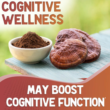 XPRS NUTRA - XPRS Nutra Organic Red Reishi Mushroom Powder 453Gr. - The Red Vitamin MX - Suplementos Alimenticios - {{ shop.shopifyCountryName }}