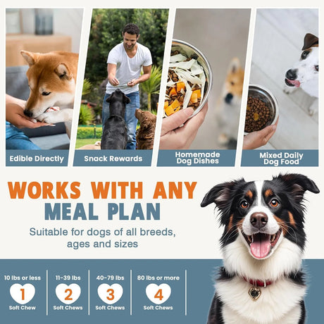 TTLXBL - TTLXBL 24-in-1 Dog Vitamins 200 Masticables - The Red Vitamin MX - Multivitamínicos Para Perros - {{ shop.shopifyCountryName }}