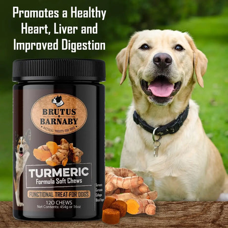 BRUTUS & BARNABY - BRUTUS & BARNABY Turmeric for Dogs 120 Masticables - The Red Vitamin MX - Cuidado De Cadera Y Articulaciones Para Perros - {{ shop.shopifyCountryName }}