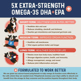 BERNIE'S - Bernie’s OMG! Omegas Chews for Dogs Pork Flavor 90 Masticables - The Red Vitamin MX - Aceite De Pescado Para Perros - {{ shop.shopifyCountryName }}
