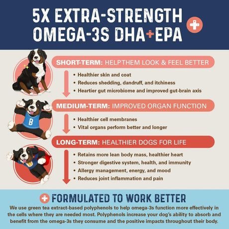 BERNIE'S - Bernie’s OMG! Omegas Chews for Dogs Pork Flavor 90 Masticables - The Red Vitamin MX - Aceite De Pescado Para Perros - {{ shop.shopifyCountryName }}