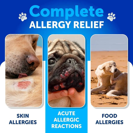 ARTULLANO - Artullano Dog Allergy Relief Chews Duck 180 Masticables - The Red Vitamin MX - Remedios Para La Picazón De Perros - {{ shop.shopifyCountryName }}