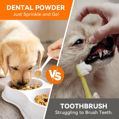 PUAINTA - PUAINTA Dog Teeth Cleaning Powder 90Gr. - The Red Vitamin MX - Cuidado Dental Para Perros - {{ shop.shopifyCountryName }}