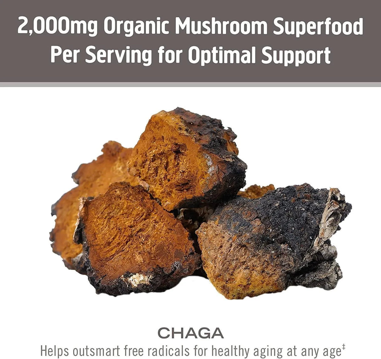 OM - Om Mushroom Superfood Chaga Organic Mushroom Powder 100Gr. - The Red Vitamin MX - Suplementos Alimenticios - {{ shop.shopifyCountryName }}