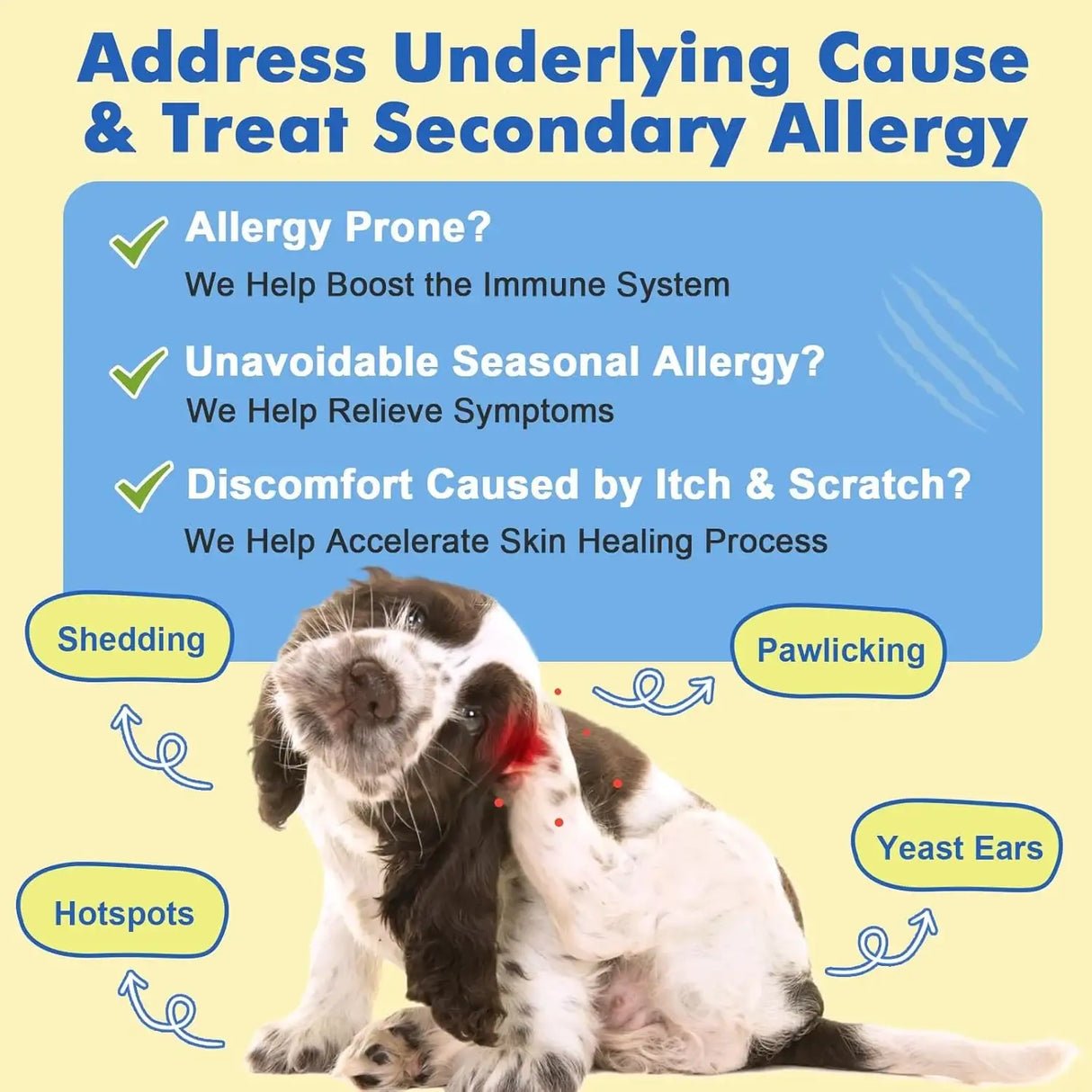 DR FOSTER - DR FOSTER Dog Allergy Relief Chews 120 Masticables - The Red Vitamin MX - Remedios Para La Picazón De Perros - {{ shop.shopifyCountryName }}