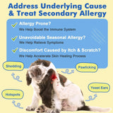 DR FOSTER - DR FOSTER Dog Allergy Relief Chews 120 Masticables - The Red Vitamin MX - Remedios Para La Picazón De Perros - {{ shop.shopifyCountryName }}