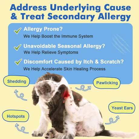 DR FOSTER - DR FOSTER Dog Allergy Relief Chews 120 Masticables - The Red Vitamin MX - Remedios Para La Picazón De Perros - {{ shop.shopifyCountryName }}