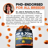 Pup Choice Hip & Joint Support Treats for Dogs Beef Flavor 140 Masticables