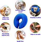 Katoggy Inflatable Dog Collar BLUE LARGE