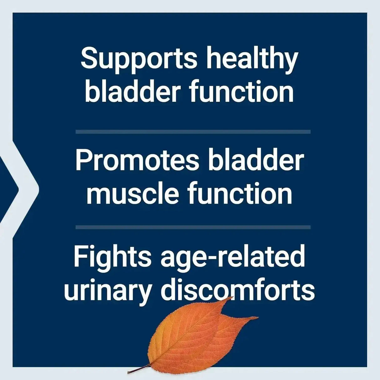 LIFE EXTENSION - Life Extension Water-Soluble Pumpkin Seed Extract 60 Capsulas - The Red Vitamin MX - Suplementos Alimenticios - {{ shop.shopifyCountryName }}
