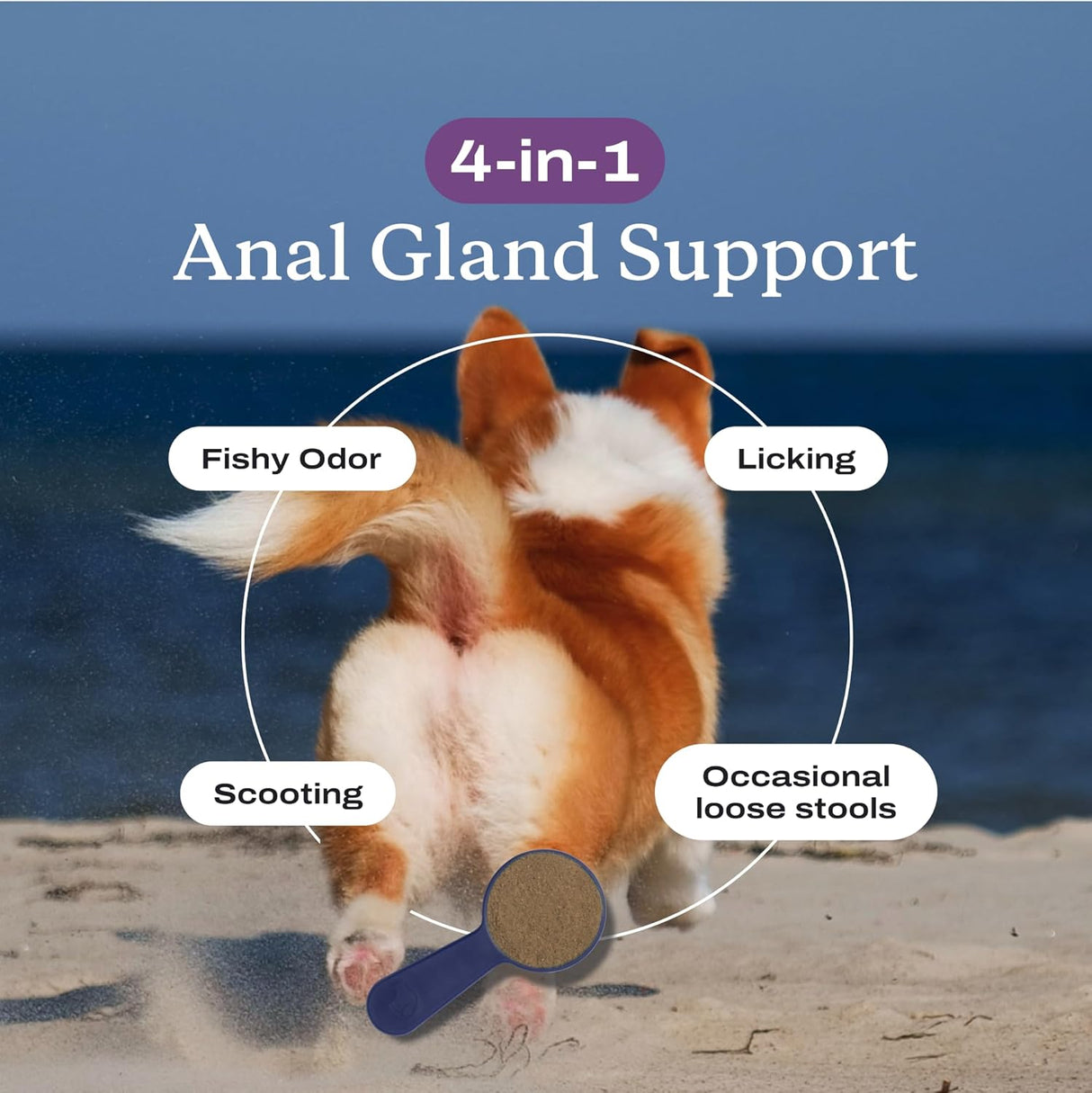 PetLab Co. Anal Gland Support Tailored Powder LARGE Dogs 90Gr.